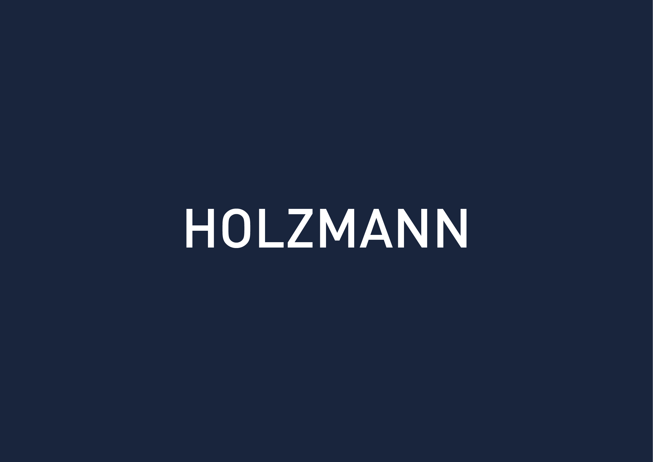 Absauganlage Holzmann